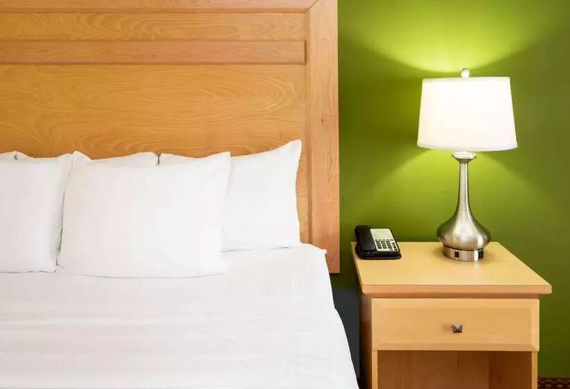 ホテル La Quinta By Wyndham Rochester Mayo Clinic Area South