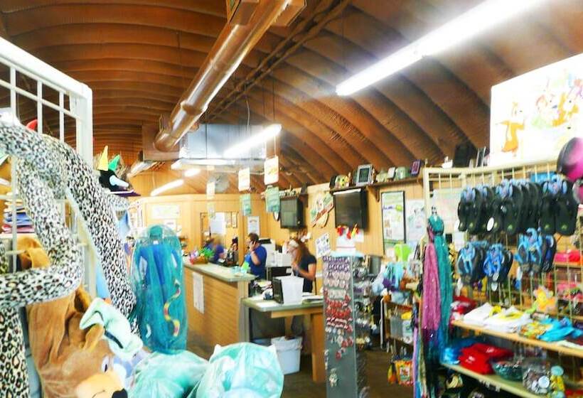 Отель North Texas Jellystone Park