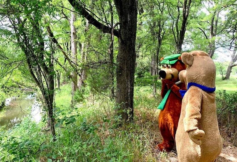 Отель North Texas Jellystone Park