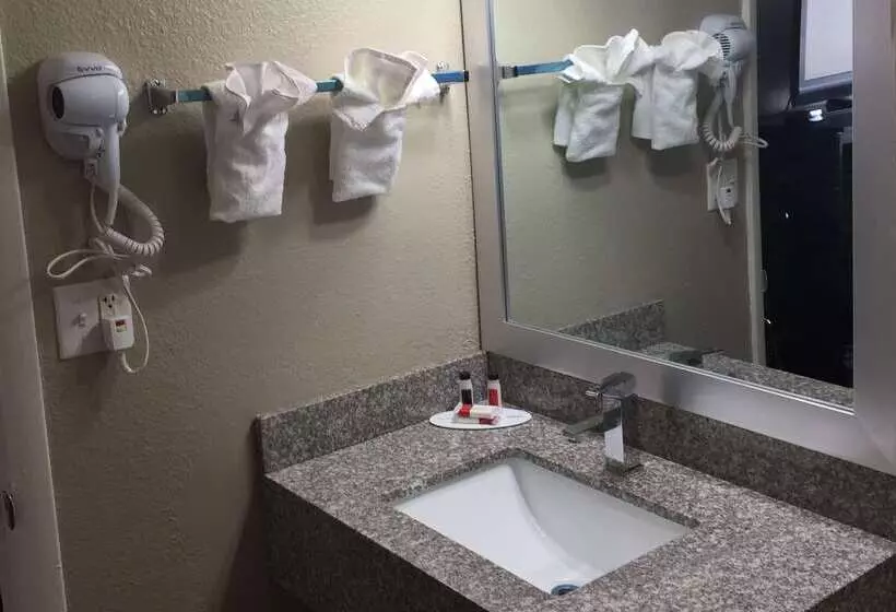 Motel Super 8 By Wyndham Florence