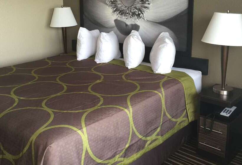 Motel Super 8 By Wyndham Florence