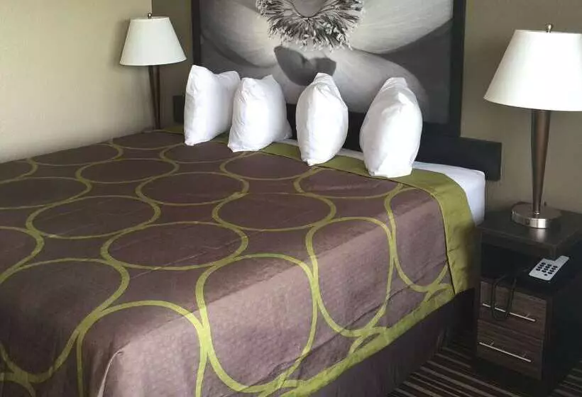 Motel Super 8 By Wyndham Florence