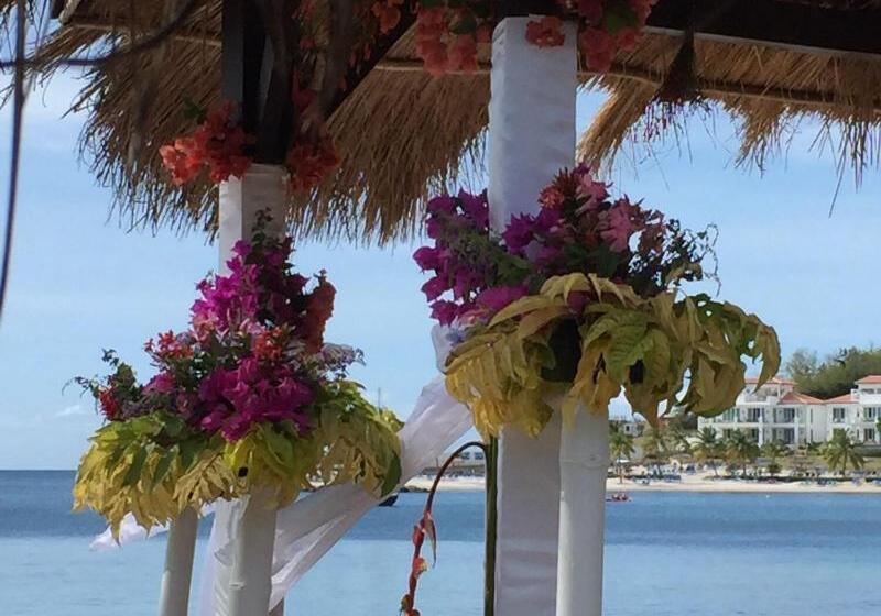 استراحتگاه East Winds St. Lucia All Inclusive