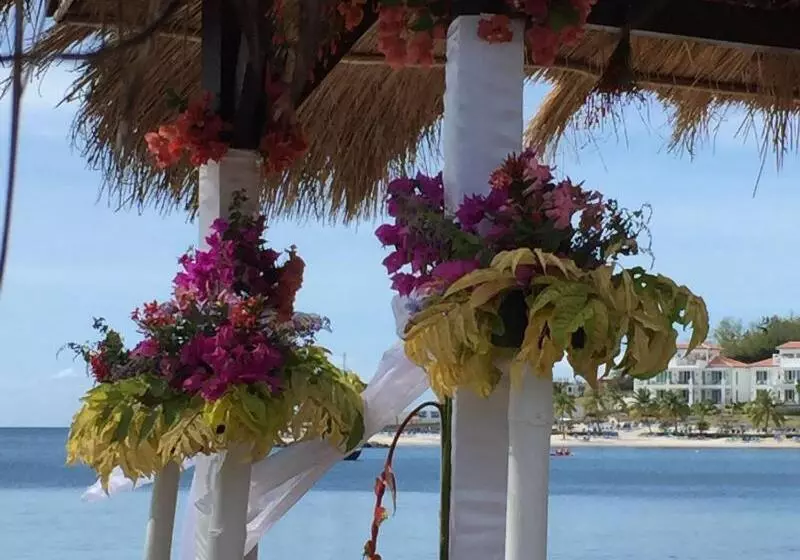 استراحتگاه East Winds St. Lucia All Inclusive