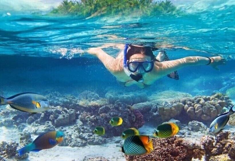 استراحتگاه East Winds St. Lucia All Inclusive