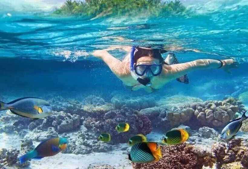 استراحتگاه East Winds St. Lucia All Inclusive