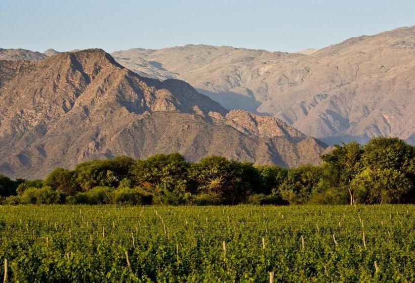 منتجع Grace Cafayate