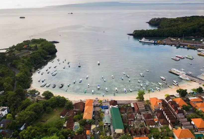 Absolute Scuba Bali Dive Resort