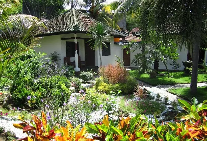 Absolute Scuba Bali Dive Resort