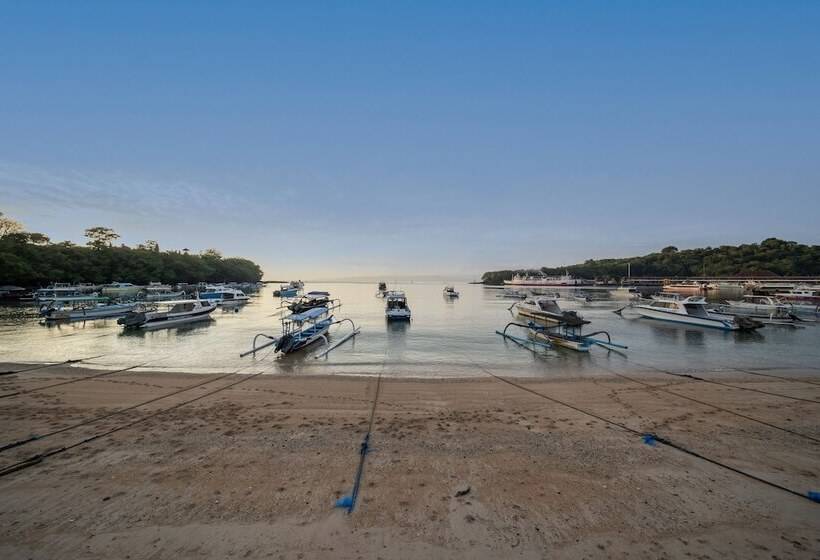 Absolute Scuba Bali Dive Resort