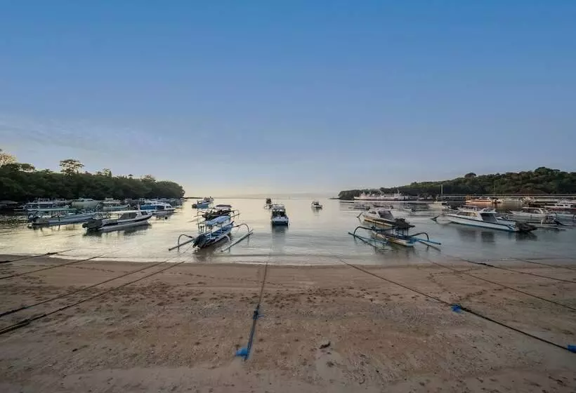 Absolute Scuba Bali Dive Resort