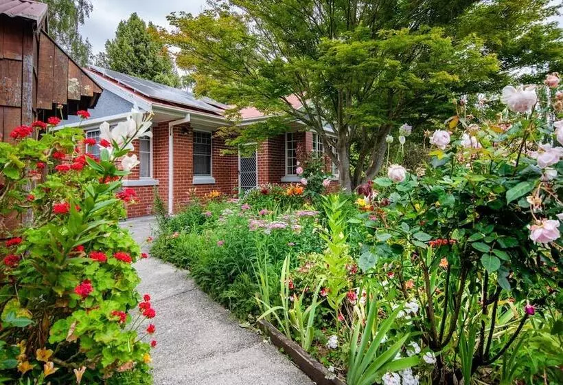 Alexandria Bed And Breakfast