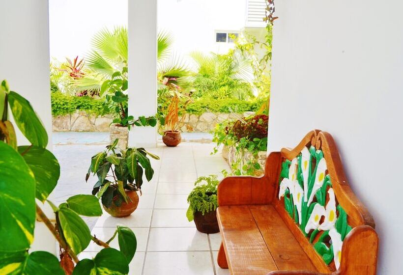 فندق Corales Suites