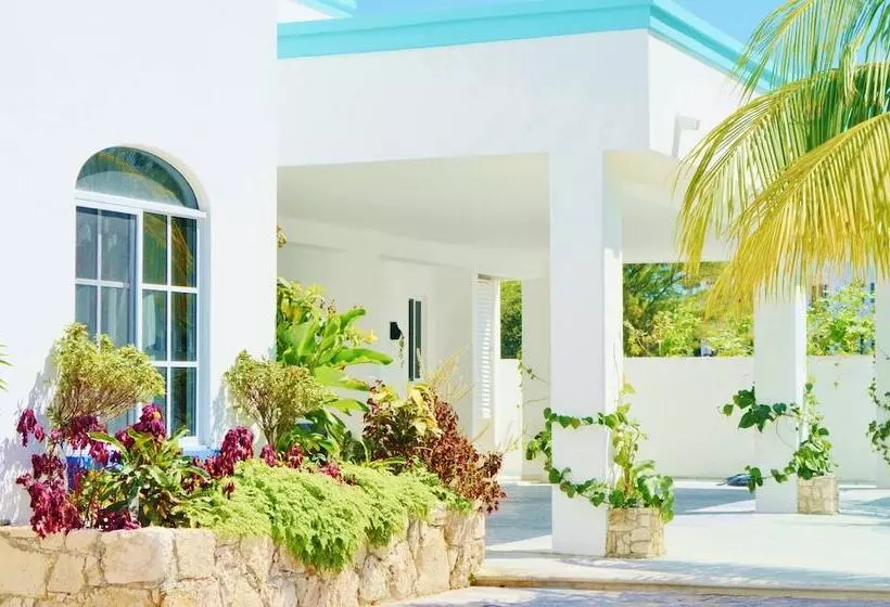 فندق Corales Suites