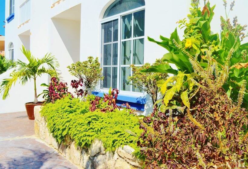 فندق Corales Suites