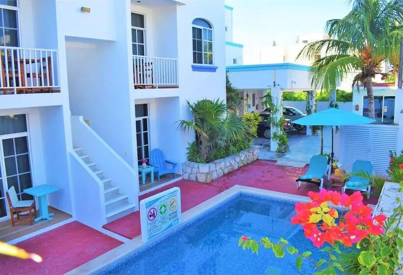 فندق Corales Suites