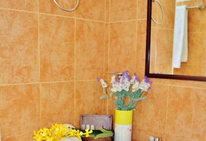 فندق Corales Suites