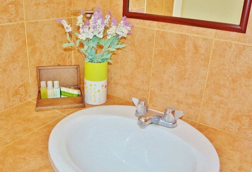 فندق Corales Suites