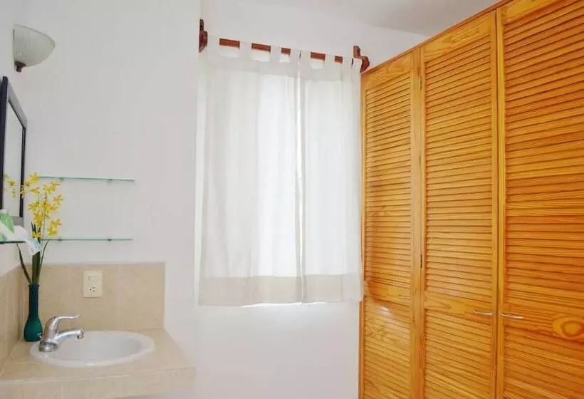 فندق Corales Suites