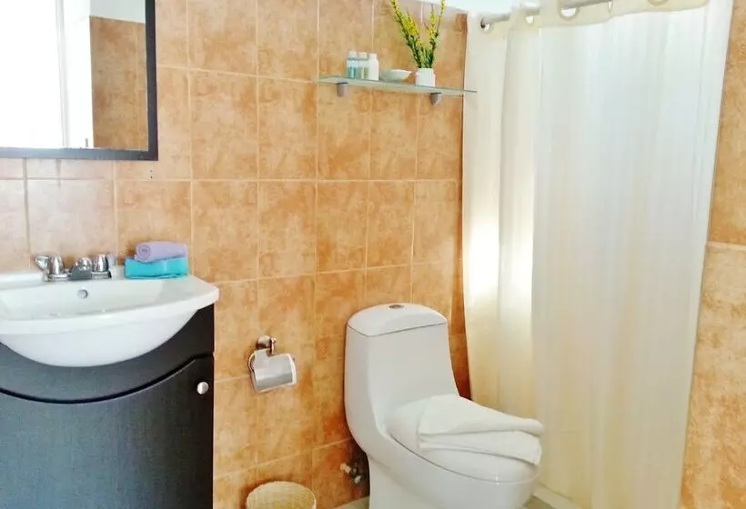 فندق Corales Suites