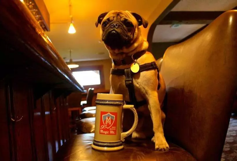 ホテル The Upper Pass Lodge At Magic Mountain