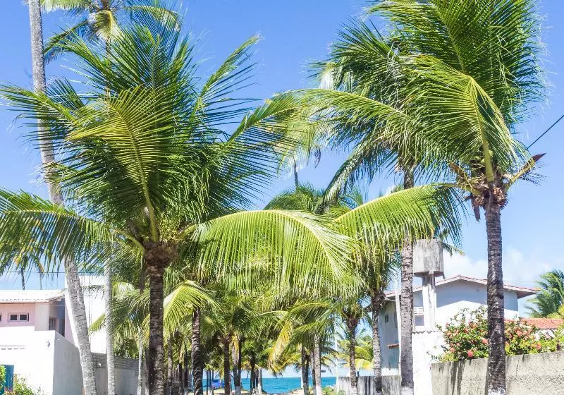 Hotel Pousada Vila Do Galo