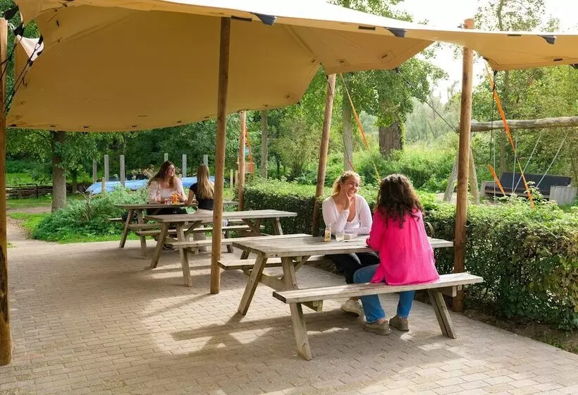Stayokay Hostel Dordrecht   Nationaal Park De Biesbosch