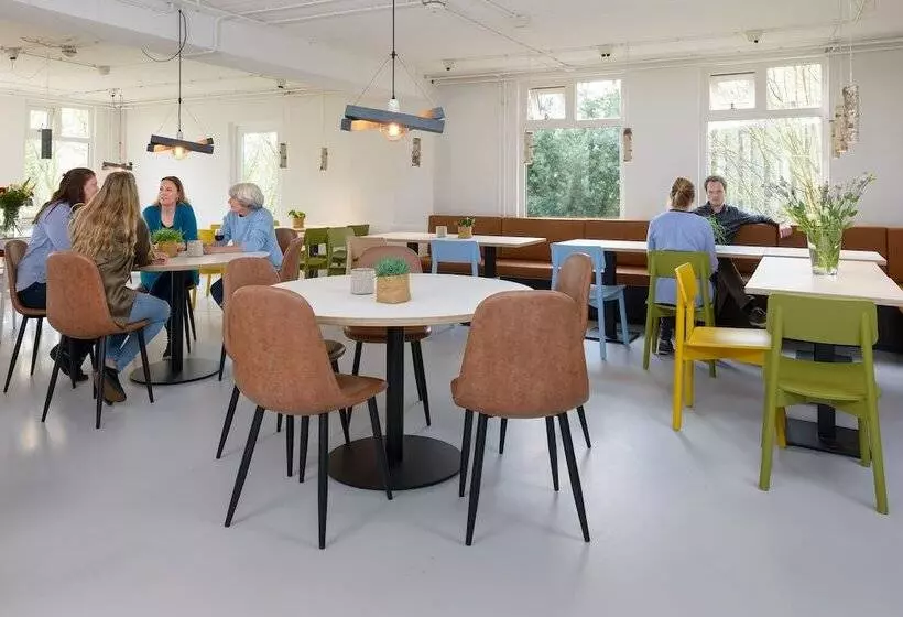 Stayokay Hostel Dordrecht   Nationaal Park De Biesbosch