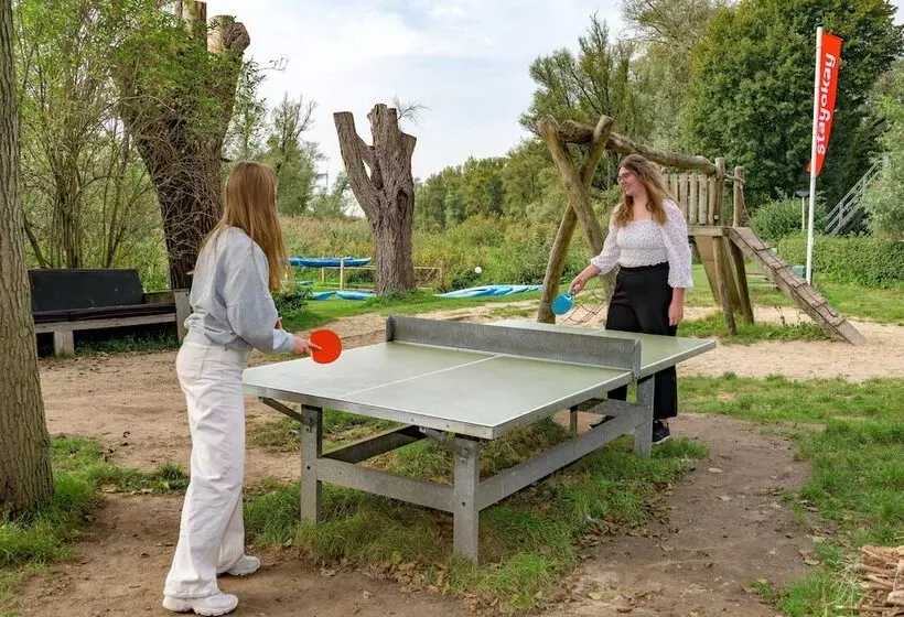 Stayokay Hostel Dordrecht   Nationaal Park De Biesbosch