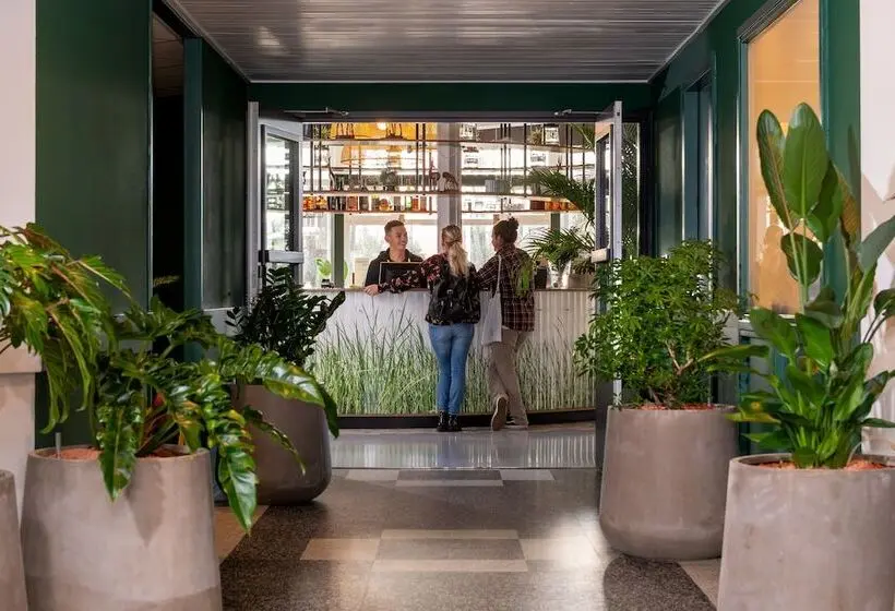 Stayokay Hostel Dordrecht   Nationaal Park De Biesbosch