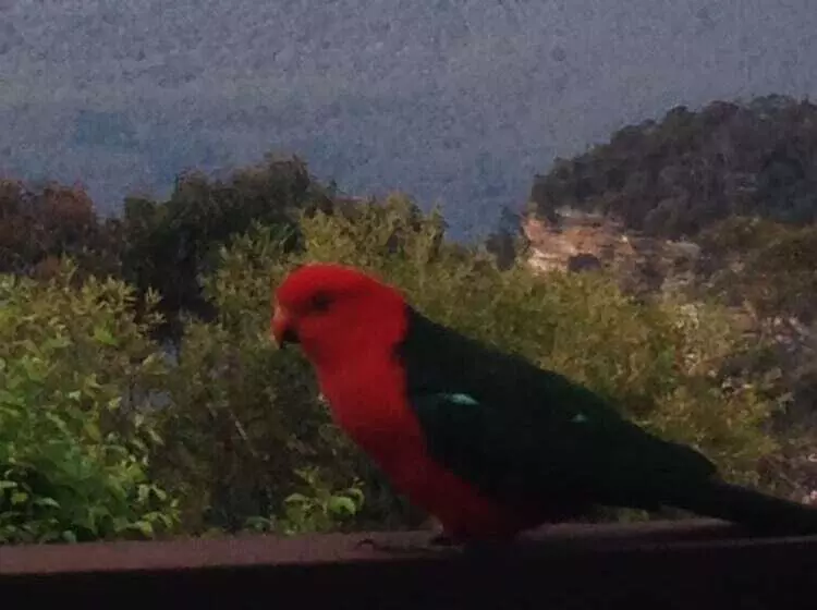 Valley Of The Waters B&b