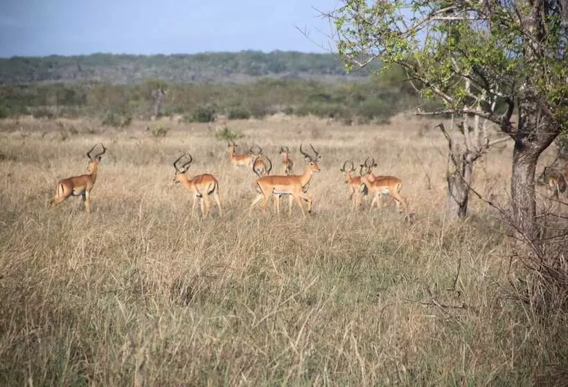 Hotelli Barry's Beach Resort