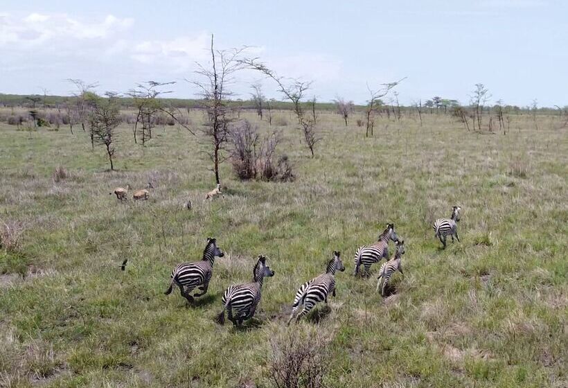 فندق Barry's Beach Resort