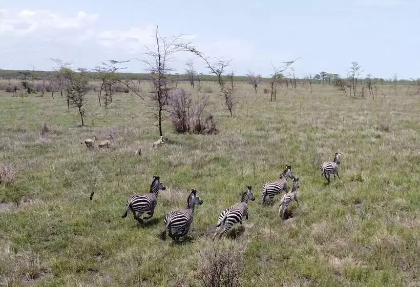 Hotelli Barry's Beach Resort