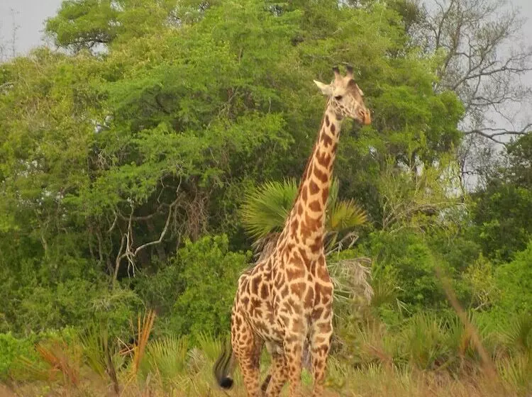 Hotelli Barry's Beach Resort