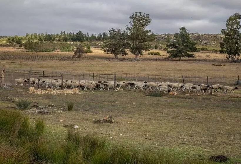 Hotelli Shanzeley Guest House