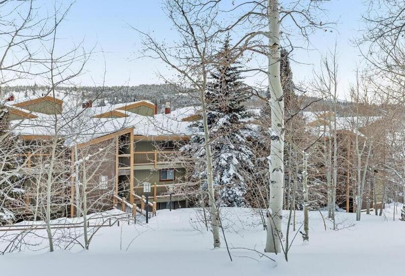 هتل 2449 Ryan Gulch