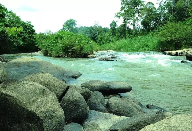 ホテル Countryview Recreation Park & Resort