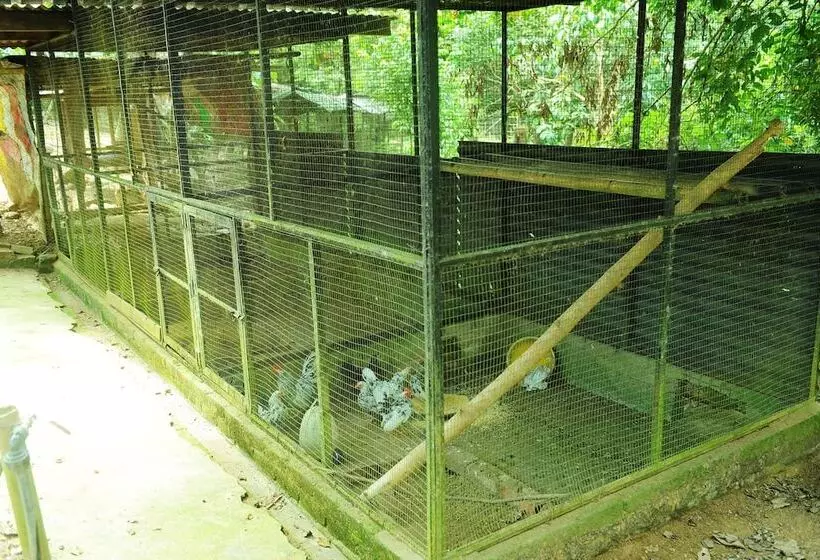 ホテル Countryview Recreation Park & Resort