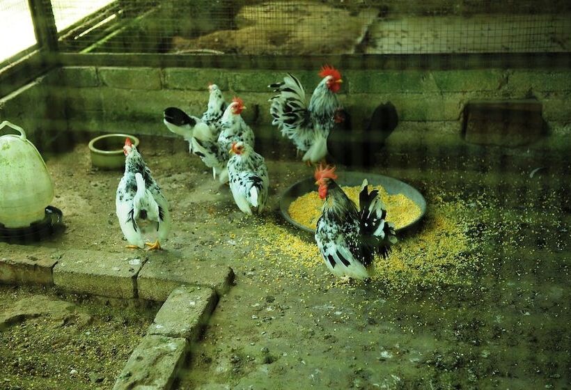 בית מלון כפרי Countryview Recreation Park & Resort