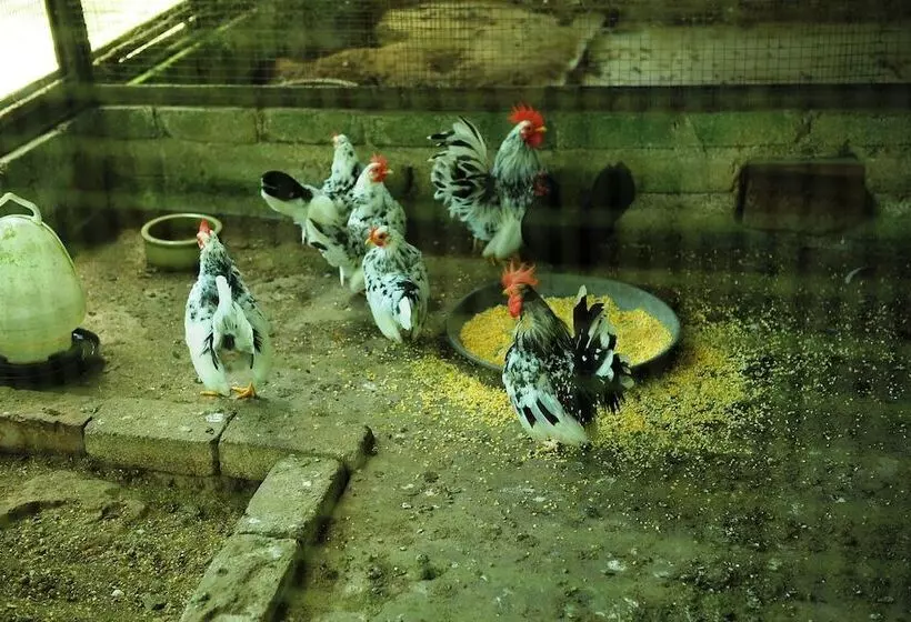 ホテル Countryview Recreation Park & Resort