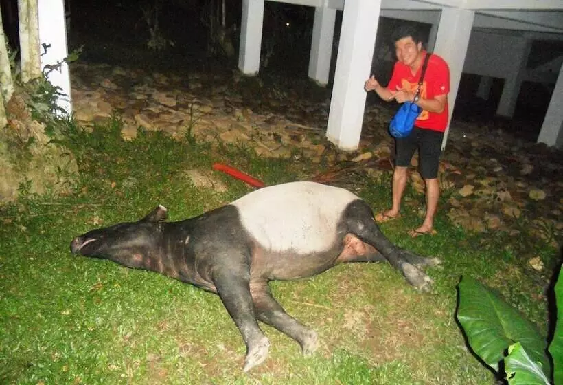 ホテル Countryview Recreation Park & Resort