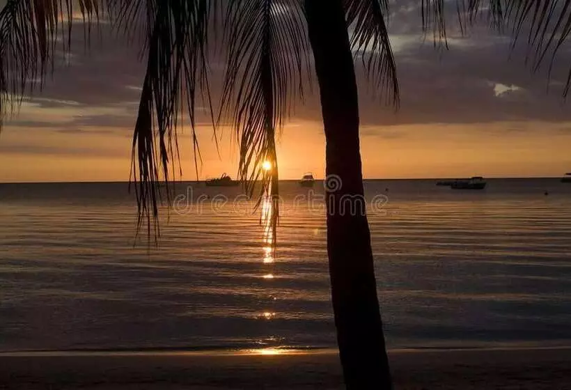 هتل Dela Derose Guest House Negril Jamaica