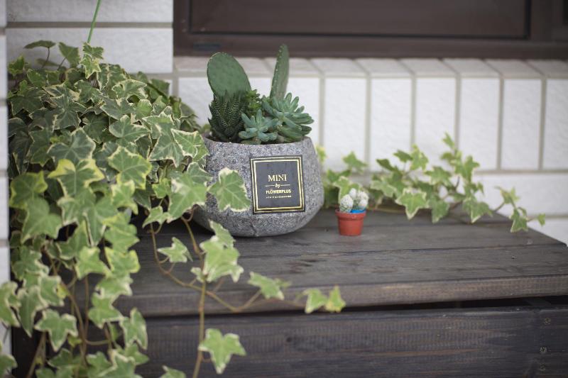 هتل Hermit Crabs B&b