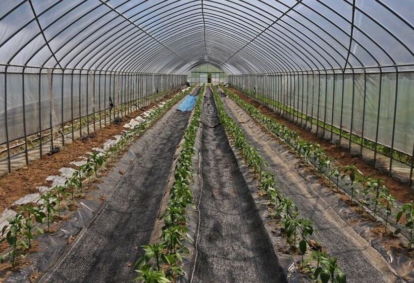 Hôtel Yangpyeong Haneulbit Pension