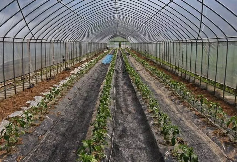 Hotelli Yangpyeong Haneulbit Pension