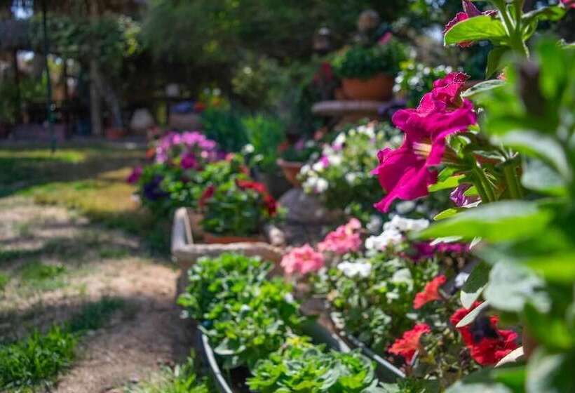 Hotel Idan Lodge In The Arava