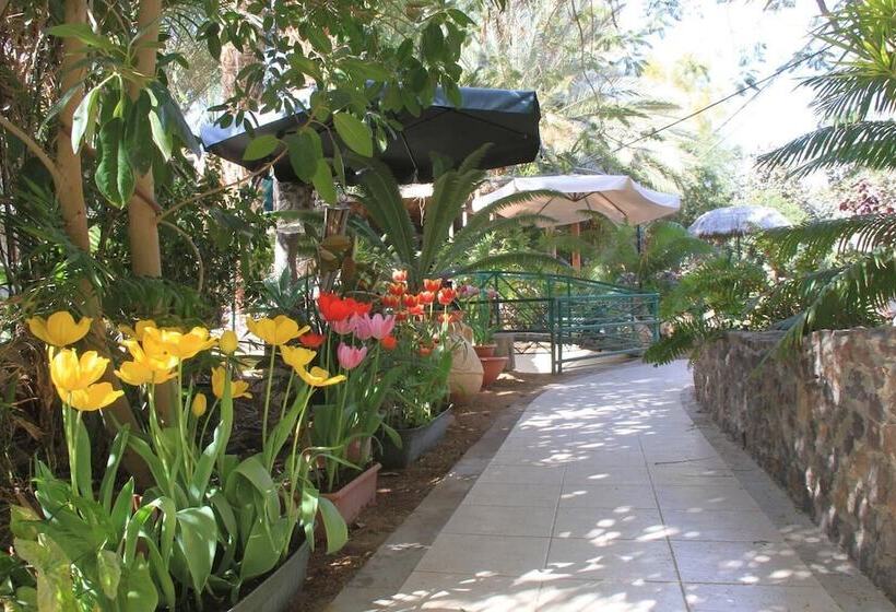 Hotel Idan Lodge In The Arava