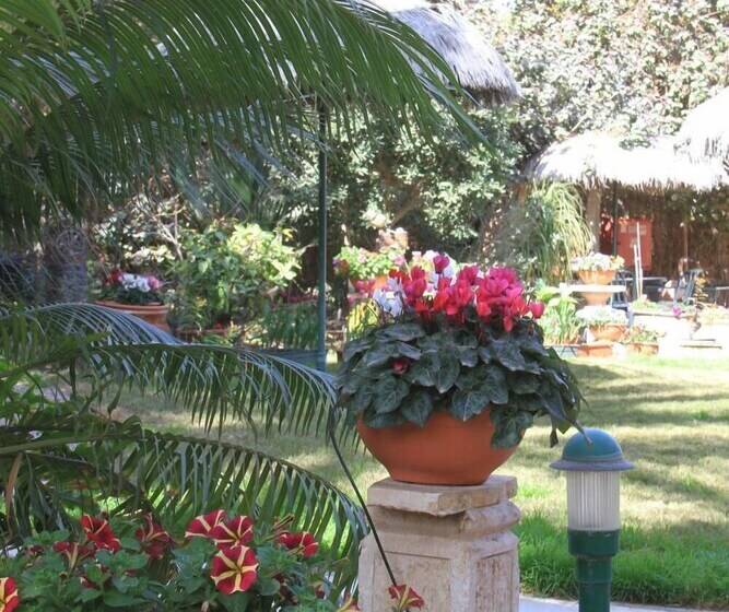 Hotel Idan Lodge In The Arava