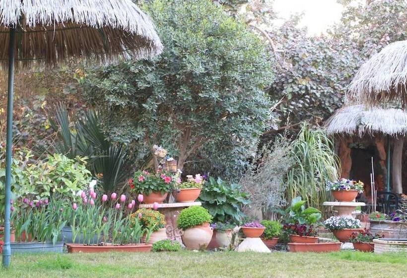 Hotel Idan Lodge In The Arava